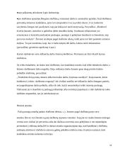 Konspektas vadybai 14 puslapis