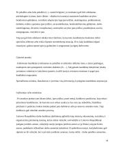 Konspektas vadybai 16 puslapis