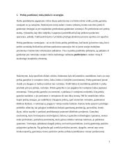 Konspektas vadybai 3 puslapis