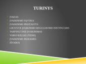 Įvaikinimas skaidrės 2 puslapis