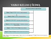 Įvaikinimas skaidrės 12 puslapis