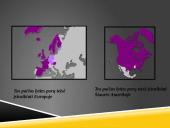 Įvaikinimas skaidrės 15 puslapis