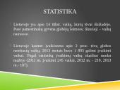 Įvaikinimas skaidrės 16 puslapis