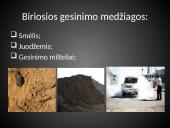 Gaisrų gesinimo medžiagos, priemonės ir būdai 12 puslapis