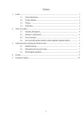 Šeima - asmens socializacijos agentas. Asmuo kaip šios socializacijos auka. 2 puslapis