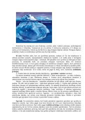 Asmenybės psichologija referatas 2 puslapis