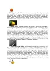 Asmenybės psichologija referatas 5 puslapis