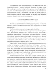 3-4 metų vaikų bendravimo ir kalbos kultūros įgūdžių ugdymas kasdieninėje veikloje 13 puslapis