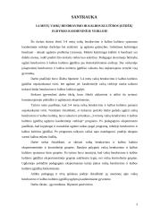 3-4 metų vaikų bendravimo ir kalbos kultūros įgūdžių ugdymas kasdieninėje veikloje 3 puslapis