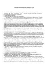 Sisteminis požiūris ekonomikoje 2 puslapis