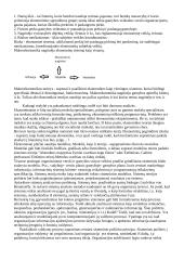 Sisteminis požiūris ekonomikoje 3 puslapis