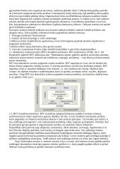 Sisteminis požiūris ekonomikoje 4 puslapis