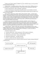 Sisteminis požiūris ekonomikoje 7 puslapis