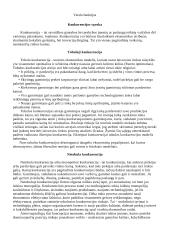 Sisteminis požiūris ekonomikoje 8 puslapis