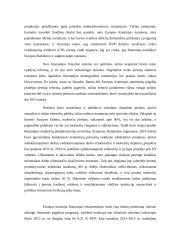 Rumunijos mokesčių sistema 16 puslapis