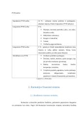 Rumunijos mokesčių sistema 7 puslapis