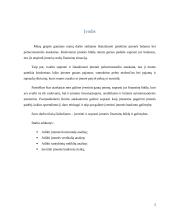 Pateiktos įmonės finansinė analizė 2 puslapis