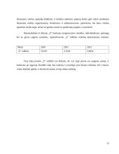 Pateiktos įmonės finansinė analizė 12 puslapis