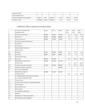 Pateiktos įmonės finansinė analizė 17 puslapis