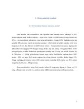 Pateiktos įmonės finansinė analizė 3 puslapis