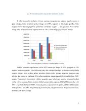 Pateiktos įmonės finansinė analizė 5 puslapis