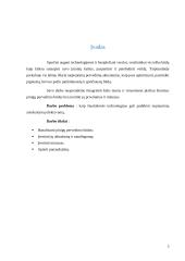 Šiuolaikinių technologijų vaidmuo didinant tarptautinių atsiskaitymų efektyvumą 2 puslapis