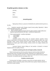 Krepšinio gynybos sistemos 2 puslapis