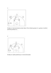 Krepšinio gynybos sistemos 11 puslapis