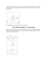 Krepšinio gynybos sistemos 13 puslapis