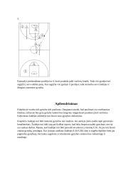 Krepšinio gynybos sistemos 16 puslapis