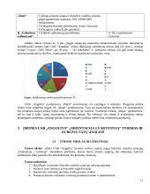 Orientacijos į vartotoją organizacijoje tyrimas 12 puslapis