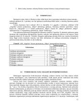Orientacijos į vartotoją organizacijoje tyrimas 13 puslapis