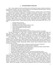 Orientacijos į vartotoją organizacijoje tyrimas 3 puslapis