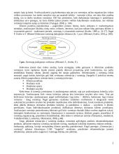 Orientacijos į vartotoją organizacijoje tyrimas 4 puslapis