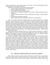 Orientacijos į vartotoją organizacijoje tyrimas 8 puslapis