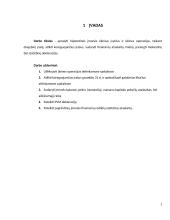 Verslo įmonių apskaita semestro darbas 2 puslapis