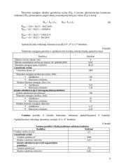 Įmonės išteklių planavimas ir pirkimų valdymas Projektinis darbas 12 puslapis