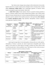 Įmonės išteklių planavimas ir pirkimų valdymas Projektinis darbas 5 puslapis