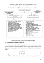 Įmonės išteklių planavimas ir pirkimų valdymas Projektinis darbas 9 puslapis