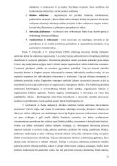 Inovacijos viešajame sektoriuje literatūros apžvalga 12 puslapis