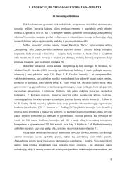 Inovacijos viešajame sektoriuje literatūros apžvalga 4 puslapis