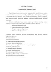 Neigaliųjų integracija į LT darbo rinką. Projektas 19 puslapis