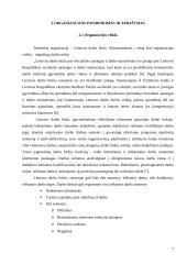Neigaliųjų integracija į LT darbo rinką. Projektas 7 puslapis