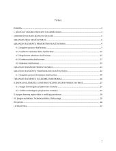 Skriemulio nuimtuvas, kursinis darbas 2 puslapis