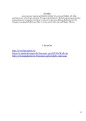 Lietuvos siaurasis geležinkelis 11 puslapis