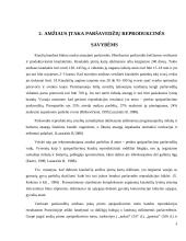 Amžiaus įtaka paršavedžių produktyvumui 9 puslapis