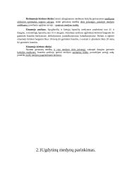 Medynų formavimas ir kirtimai 12 puslapis