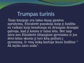 Užklasinis skaitymas 13 puslapis