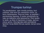 Užklasinis skaitymas 4 puslapis