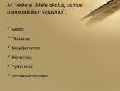 Tradicinis viešojo administravimo modelis 11 puslapis